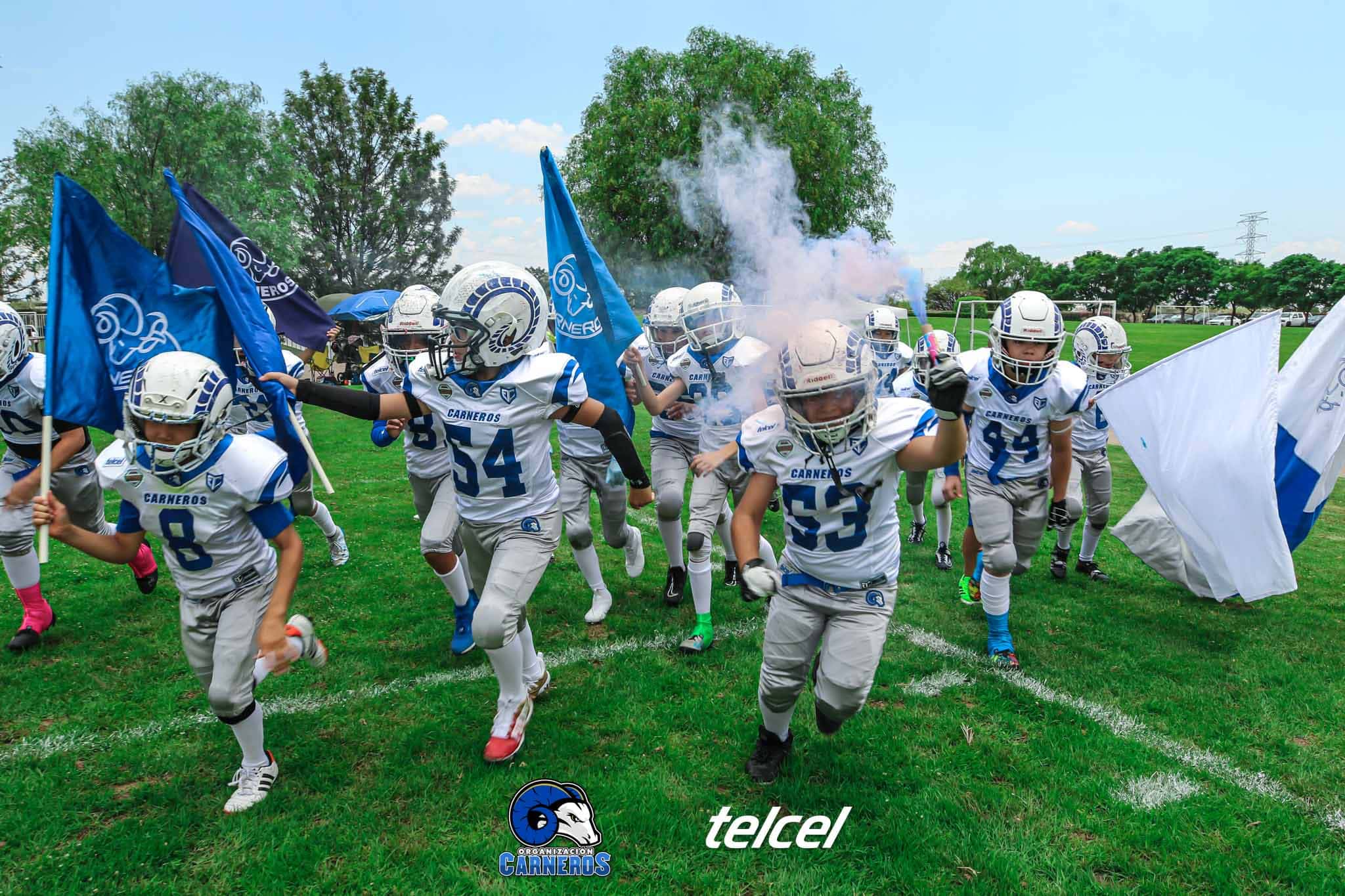 Categoría Hornets de football americano