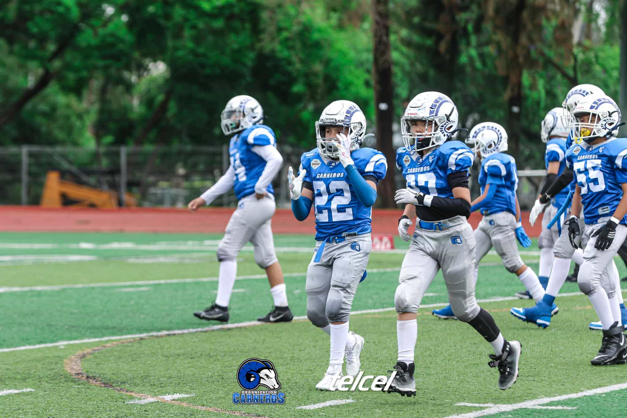 Categoría Irons de football americano