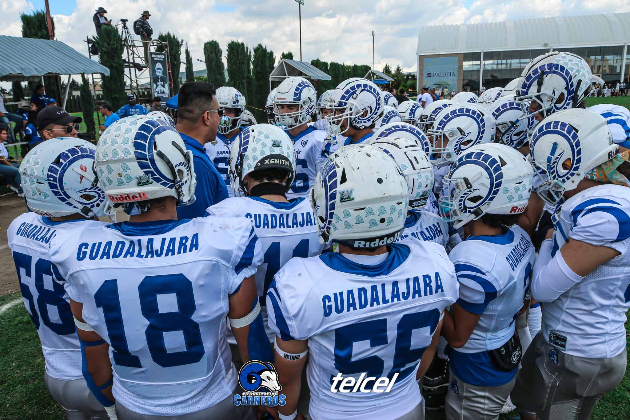 Organización Carneros — contacto