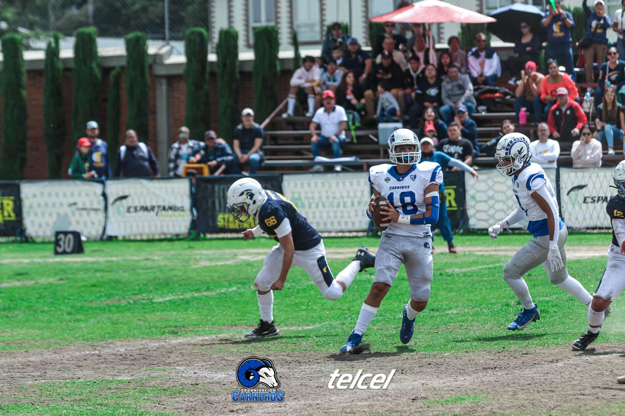 Inscripciones Carneros